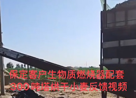 
保定客戶生物質(zhì)燃燒器配套300噸塔烘干小麥反饋視頻